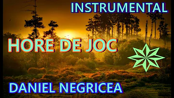 █▬█ █ ▀█▀  HORE DE JOC-DANIEL NEGRICEA  [ DOMN PROFESOR DANCIU ]