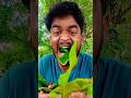 Chaaba Got Honey From Big Tree ЁЯШЛЁЯШ ЁЯШВ тА я П Africa Villagelife Animals Food Chaaba Got Honey From Big Tree ЁЯШЛЁЯШ ЁЯШВ тА я П Africa Villagelife Animals Food