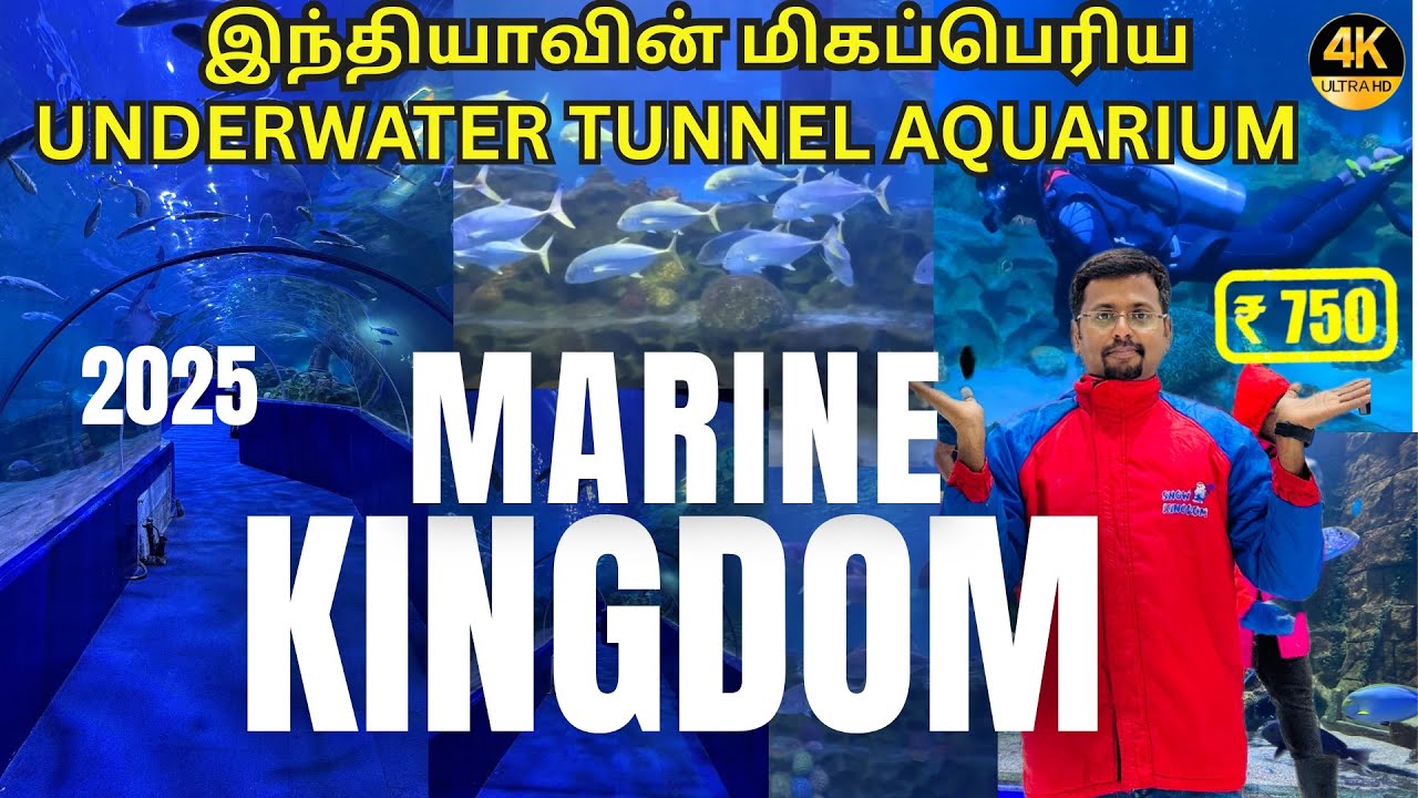 Asia’s Largest Underwater Tunnel Aquarium | VGP Marine Kingdom Tour Guide 2025 - Chennai | Sharks 🐬