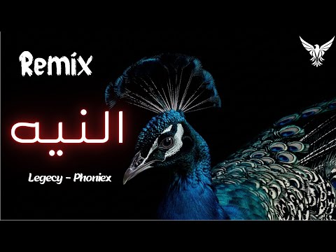 النيه ليجي سي     2026