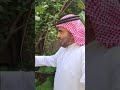 هل النباتات والأشجار تتفاعل مع كلام البشر