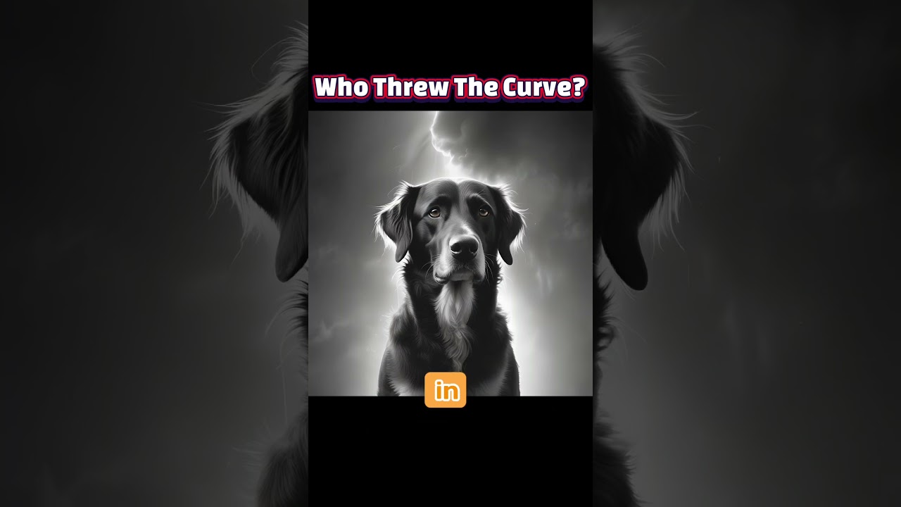 The Light Within: How Our Bodies Glow Until the Moment We Die