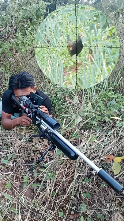BERBURU AYAM HUTAN 2024 #shortvideo