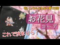 この春はこれに決まり！「お花見」のシーン別コーディネート～北海道の着物専門店【花いち都屋】