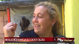 BESLEDİĞİ KARGA İLE DOST OLDU