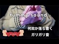 【ASMR音フェチ】なぜか落ち着くガリガリ音と空腹の音（tummy sound・Mouth sound）【ASMR癒しのしずく】