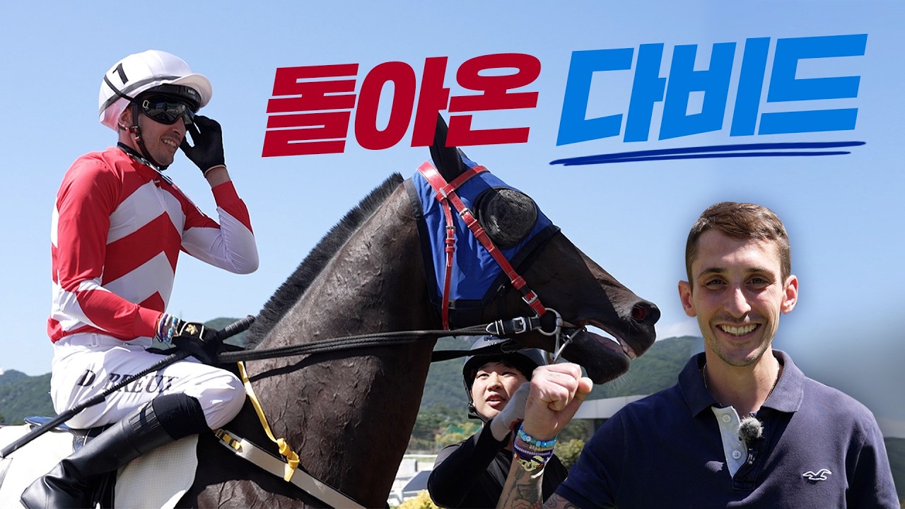 서울 6년→프랑스 2년→그리고 이제는.. 영남이다!