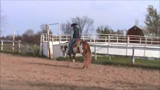 Kolored N Krymsun