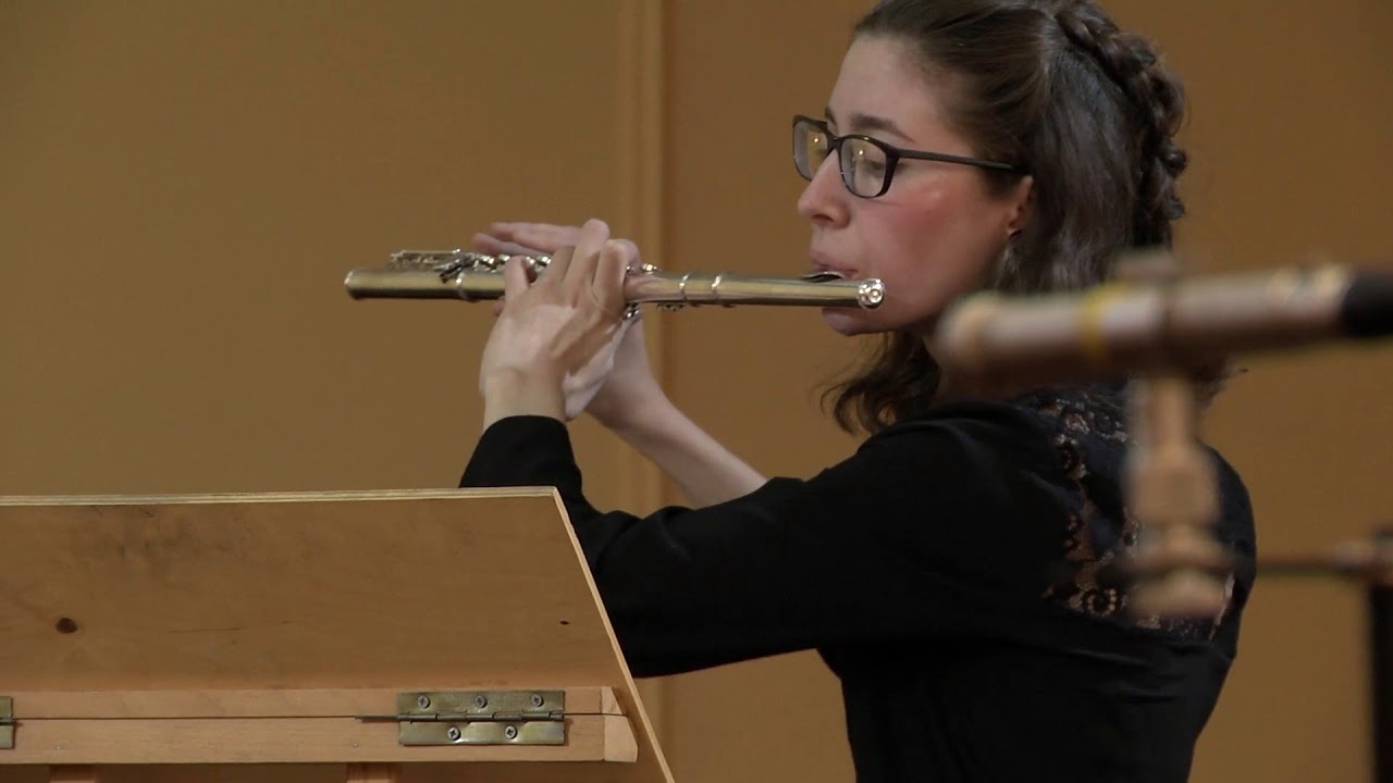 Vasilisa Gorochnaya. Soirée (Paris Dans les Peintures). Performed by: Cadenza Perfecta.