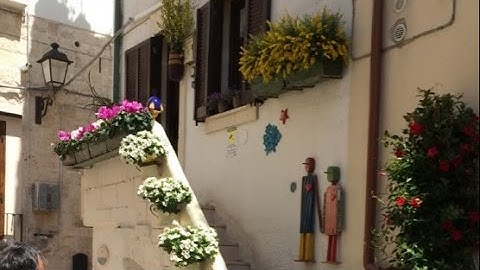 Reduce all your Photos / Pictures up to 95%