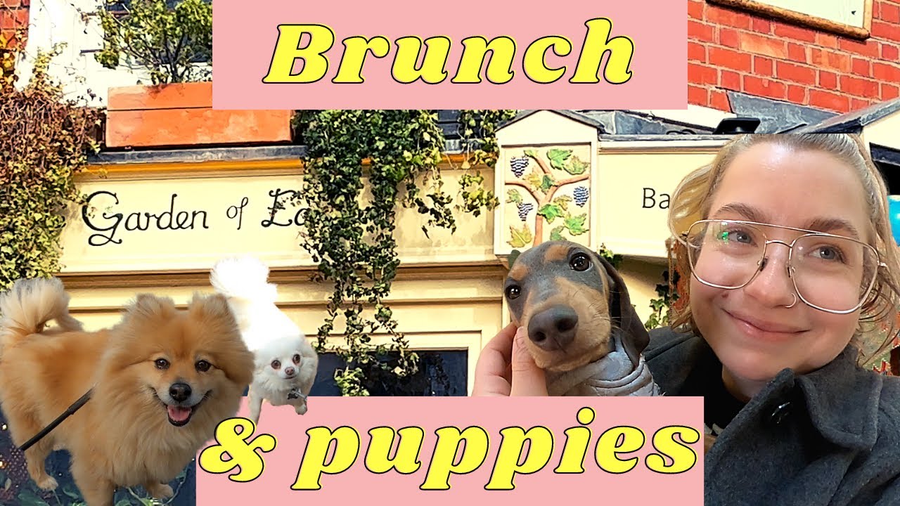 Garden of Easton, Bristol - Brunch Review