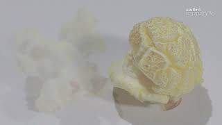 Uncle Bob's popcorn on Made in Ontario on Eastlink Community TV
