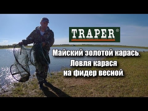 Майский золотой карась. Ловля карася на фидер весной.