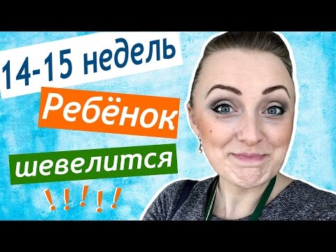 14-15 недель беременности РЕБЁНОК ШЕВЕЛИТСЯ встреча блогеров MEET UP