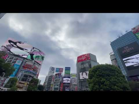 【呪術廻戦】昼の渋谷で渋谷事変があるらしいから行ってみた。#領域展開#アニメ