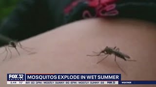 Chicago rank in top 5 for cities with mosquitoes