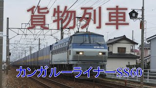 2019/12/22 JR貨物 今日は冬至 爆走2059列車 コンテナの詳細を120fsp