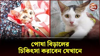 পোষা বিড়ালের চিকিৎসা করাবেন যেখানে | Vet Hospital | Channel 24