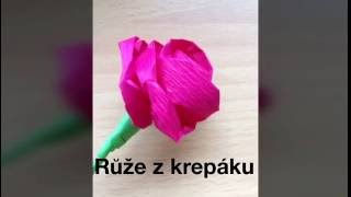 Download lagu Růže z krepového papíru Růže z krepového papíru