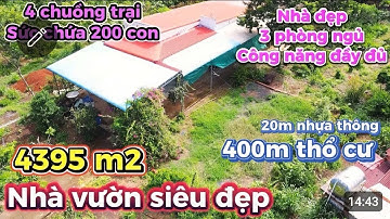 🏡 Nhà Vườn Cây Ăn Trái 400m² Thổ Cư – Mặt Tiền Nhựa Đẹp, Chuồng Trại Lớn Nuôi 200 Con!
