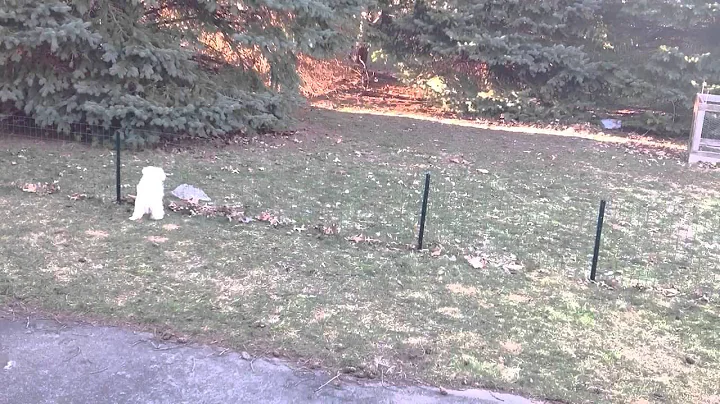 Tank has a standoff with two plastic bags that hav...