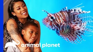 Keyshia Cole Chooses Some Exotic Fish To Fill Her New Tank | Tanked