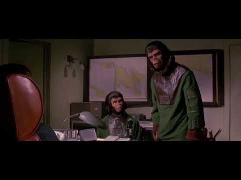 escape-from-the-planet-of-the-apes-(1971)-how-apes-rose-part-1/5
