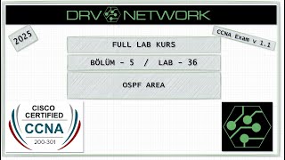Ccna Eğitimi Lab36 Ospf Area Mantığı Nedir?