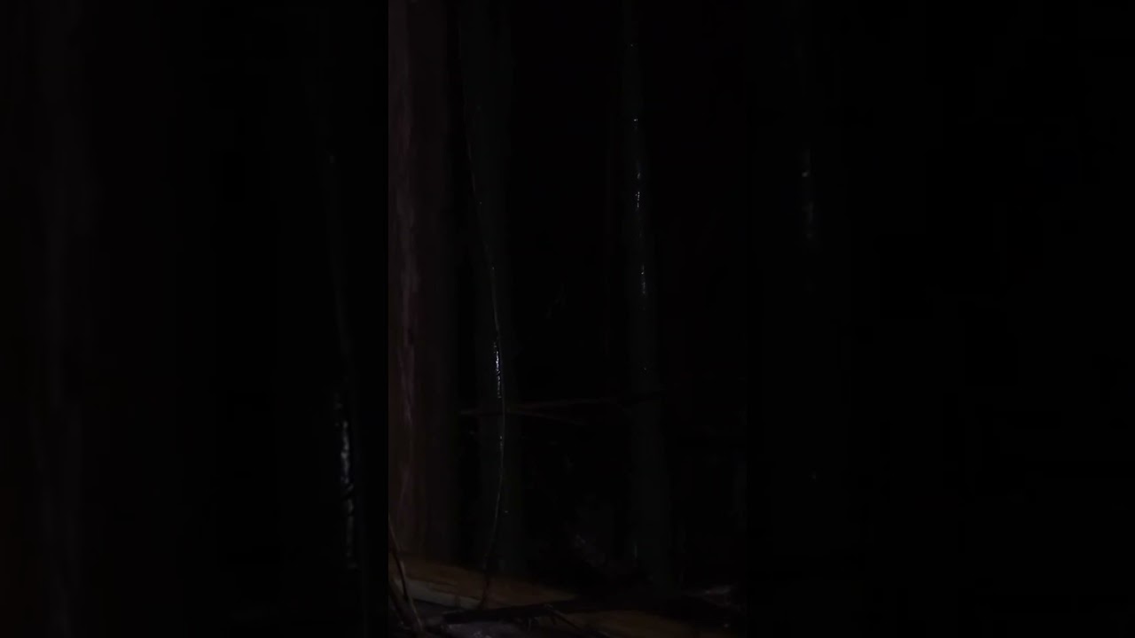 Terrifying Car Camping: The Cry of a Woman from the Forest in the Rain
