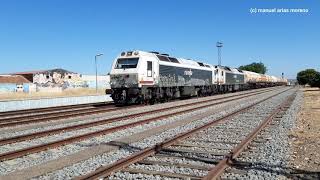 Calamonte Amoniaco vacío