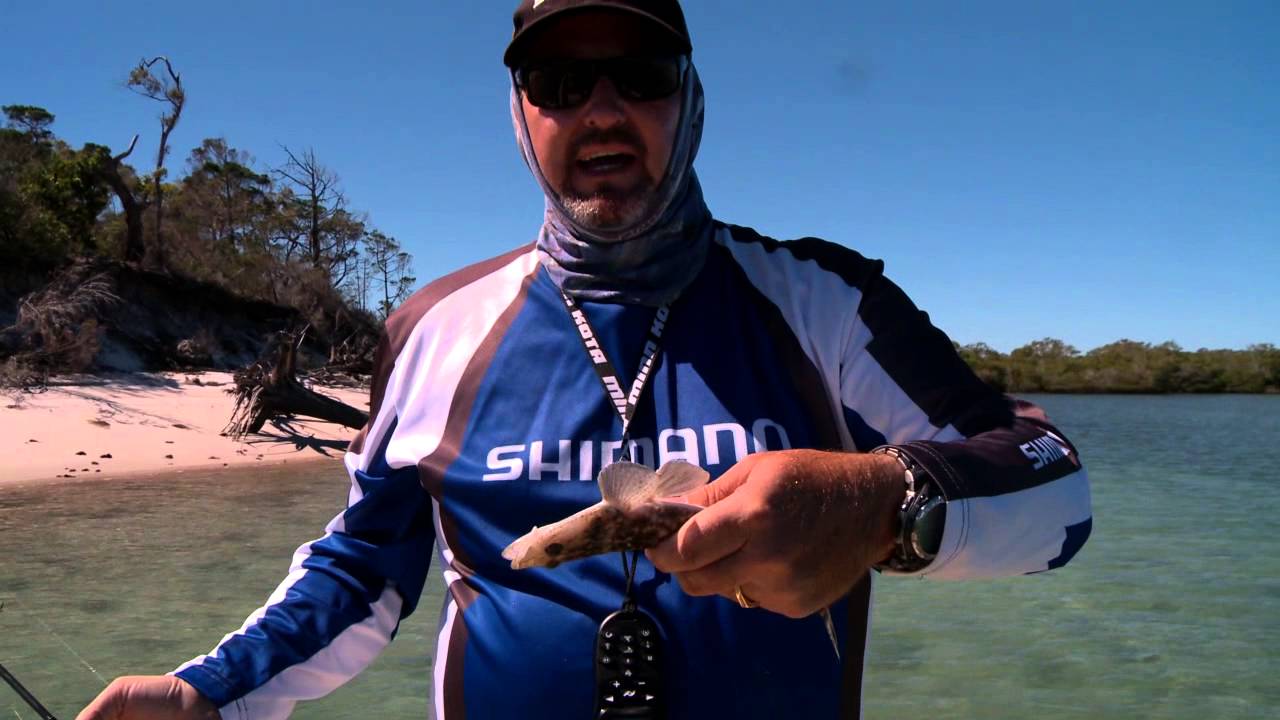 Tips on Handling Flathead - SHIMANO AUSTRALIA