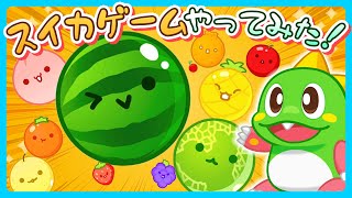 Suika Game First Attempt: 3000pts challenge & making a watermelon