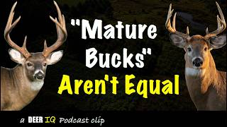 Are All “Mature Bucks" Equally Hard to Take? Here’s the Differences!