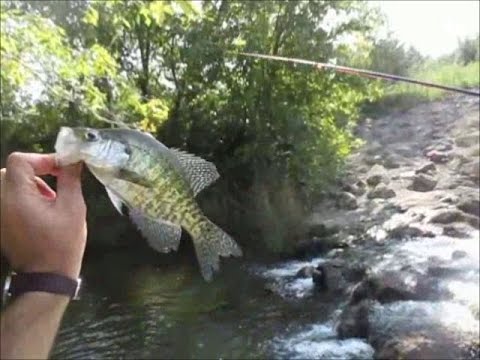 view искусство церковной