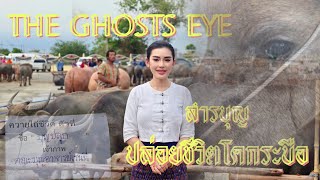 THE GHOSTS EYE สารจากโลกวิญญาณ #สารบุญ ปล่อยชีวิตโคกระบือ #อาจารย์เรนนี่_รินทร์ลิตา