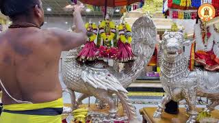 Pradosham - Sri Siva & Krittika - Sri Subrahmanya Swamy Abhishekam on June 12, 2026.