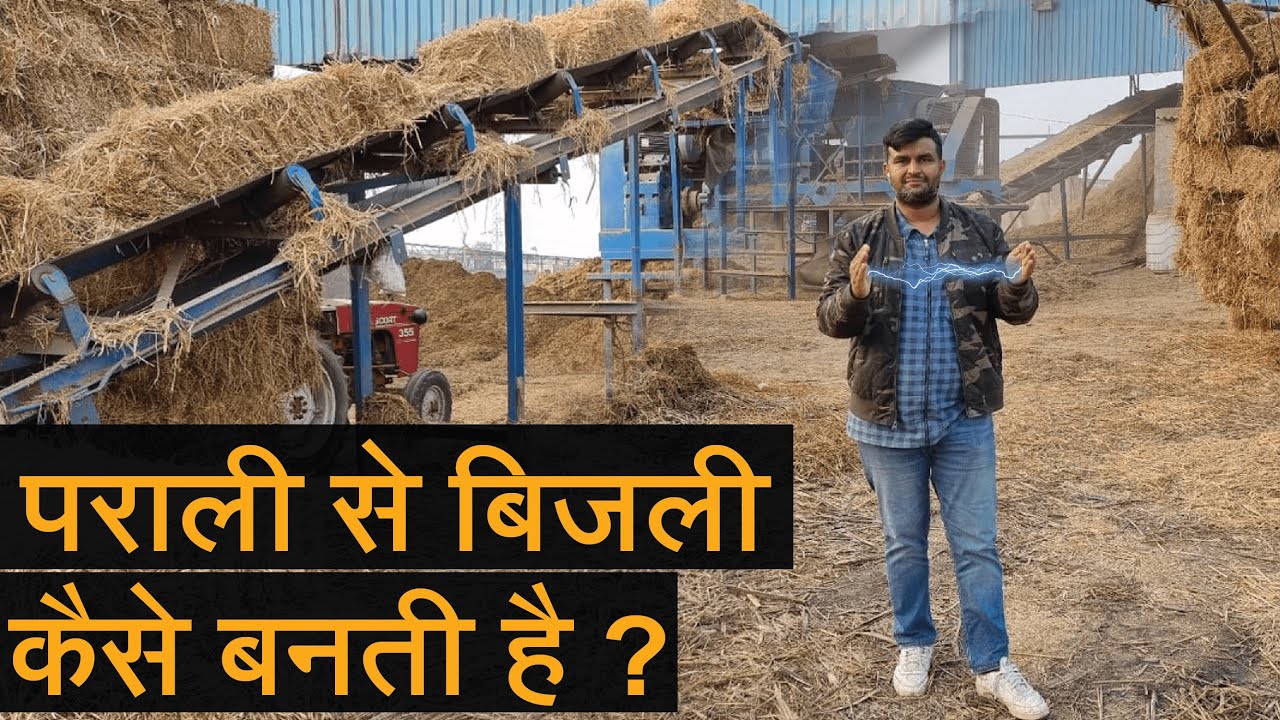 पराली से बिजली कैसे बनती है। संजोग पावर प्लांट संगरिया | TRACTOR FANS
