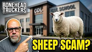 Turan Cdl School Donates A Sheep | Searchcarriers Attacked