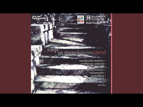 Immer wenn du mich berührst (Radio Edit)