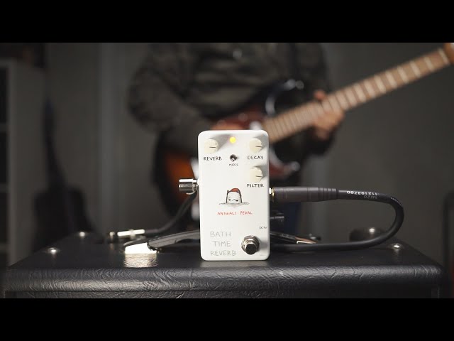 Animals Pedal - Bath Time Reverb - Guitar Pedal