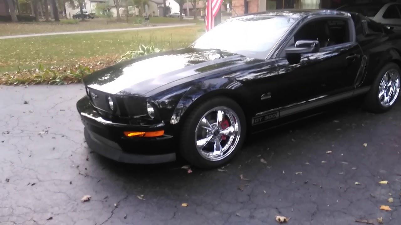 John Polander Horse Sounds Car Horn Review YouTube