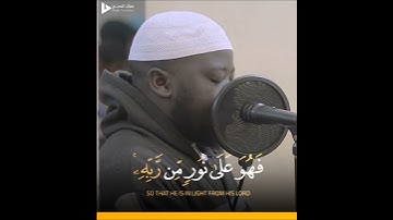 سورة الزمر قراءة جميلة أجمل صوت للقارئ مسلم بخاري #راحة_نفسية