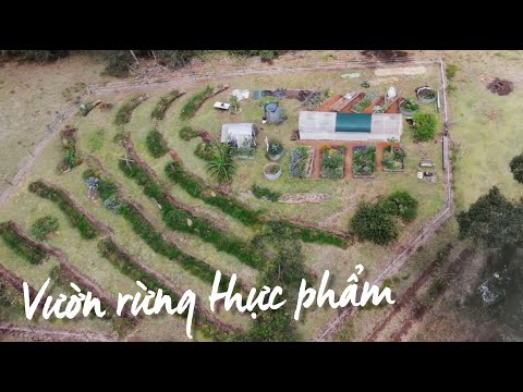 Video: Thiết Kế Vườn Mọc: Lập Kế Hoạch, Trồng Và Chăm Sóc Các Loại Cây Trong Vườn Mọc