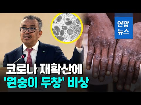 WHO, 국제 &amp;#39;원숭이 <strong>두창</strong>&amp;#39; 비상사태 선언…&amp;quot;새로운 방식 확산&amp;quot; / 연합뉴스 (Yonhapnews)