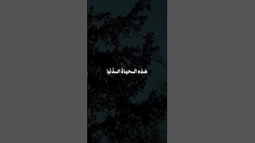 سورة غافر الاية 39