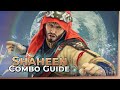 Shaheen optimal combo guide  tekken 8