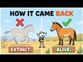 The Animal That Survived Extinction Twice. 