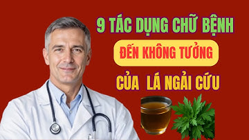 Tin Vui: 9 Tác Dụng Bất Ngờ Của Lá Ngải Cứu – Hỗ Trợ 9 Bệnh Thường Gặp