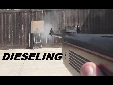 Pellet Rifle DIESELING  -   Good,  Bad or Ugly?