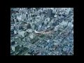 1978年 北海道ローカルCM 北海道新聞 セスナ編